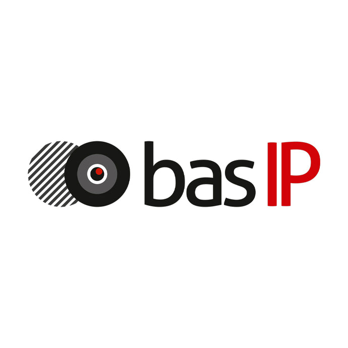 BasIP logo