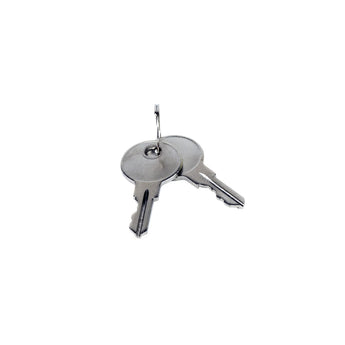 LiftMaster K80-50295 Set of 2 Access Door Keys for LiftMaster CSL24U